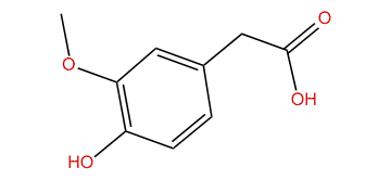 4-Hydroxy-3-methoxyphenyl acetic acid